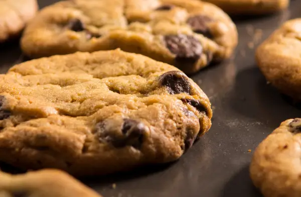 receta de galletas con pepitas de chocolate jacques torres