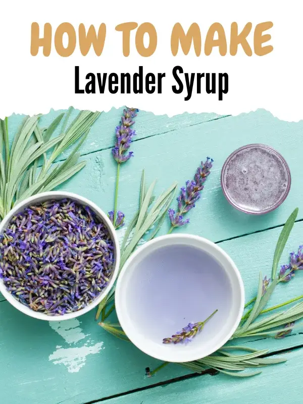 lavender syrup recipe