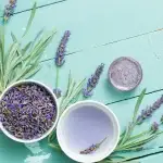 lavender syrup recipe