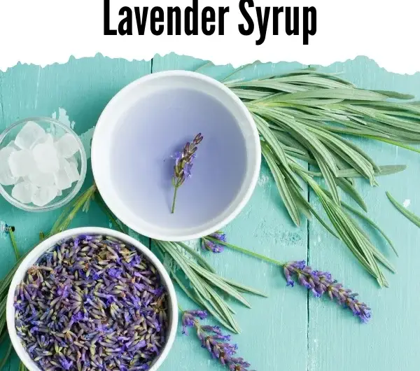 Lavender Syrup Recipe