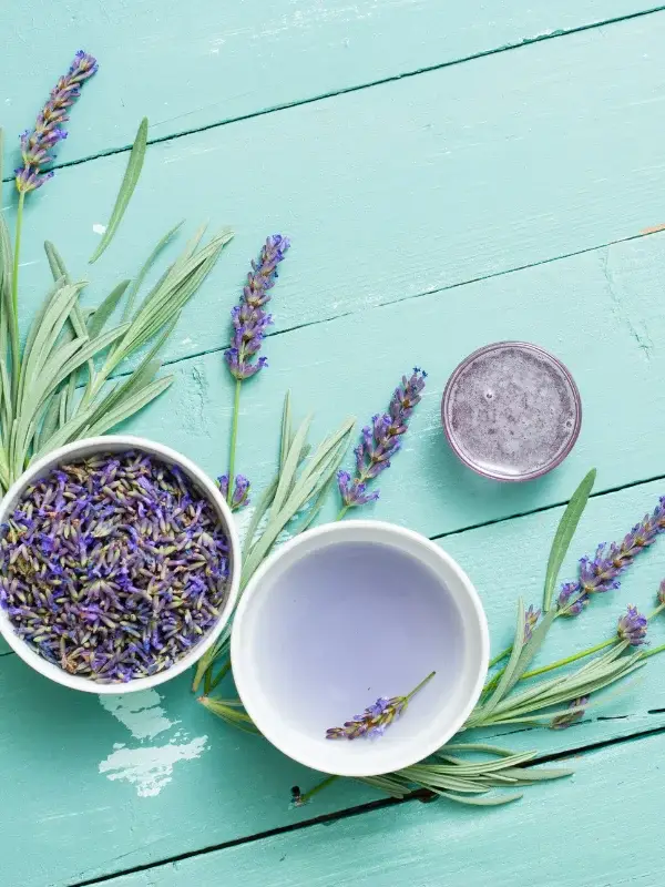 lavender syrup recipe